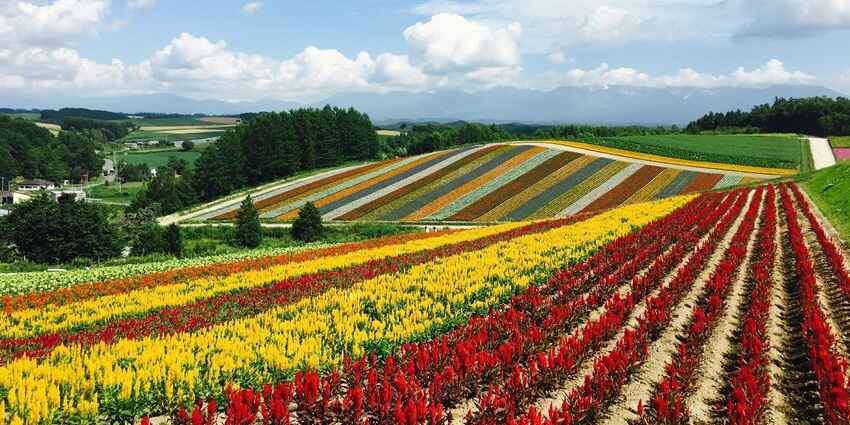 Jim Thompson Farm is one of the best places to visit near Khao Yai National Park.