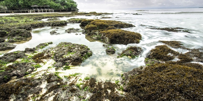 A breathtaking view of a turquoise beach with small rocks in the middle during the day.
