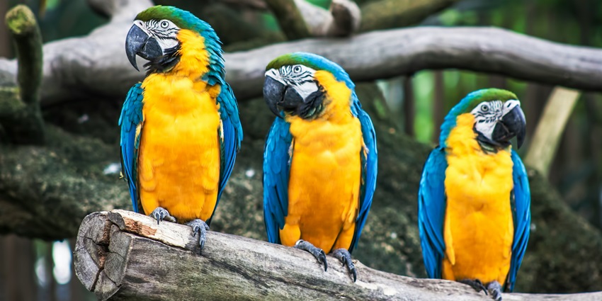 Jore Pokhri Wildlife Sanctuary is a serene spot for nature and wildlife enthusiasts.