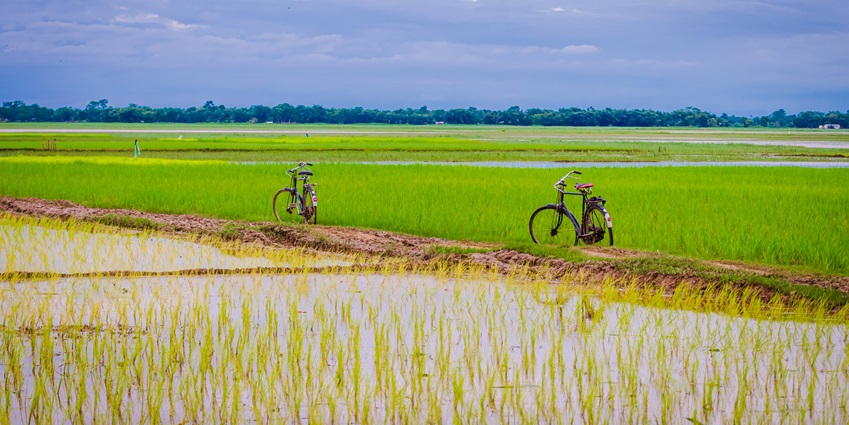 A picturesque rural scene in Jorhat, reflecting the essence of harvest festival of Assam.