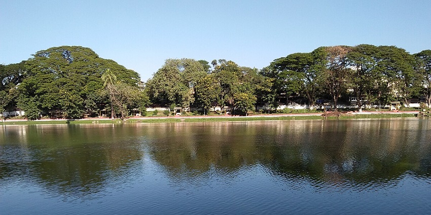 A view of tranquil waters casting the shadows of dense trees in Jugibari, Assam.