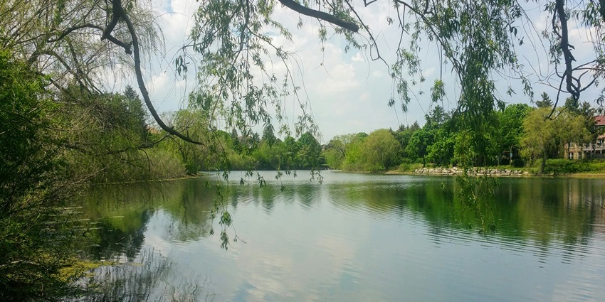 Jugibari Beel is one of the top places to visit in Golaghat for recreational activities.