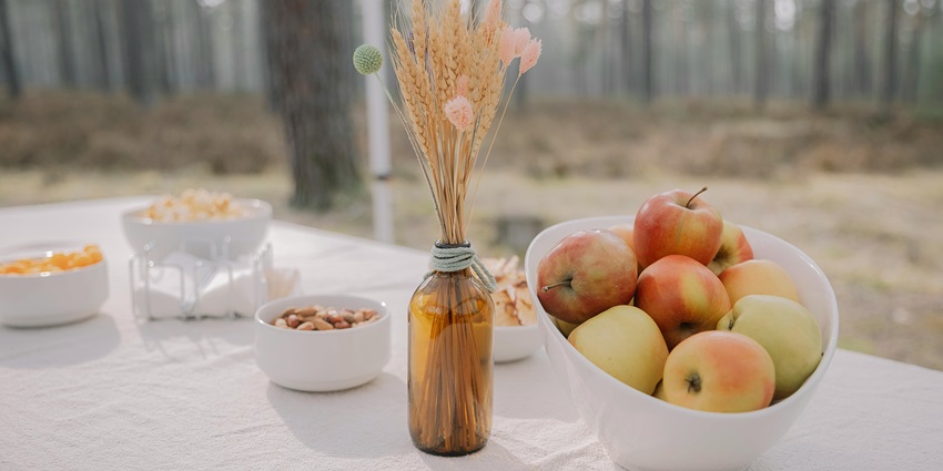Jungle breakfast with apples on the table, set amidst a lush, natural backdrop - at the Zoo