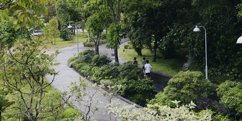 A breathtaking view of people jogging in the Jurong Lakes Garden during the daytime.
