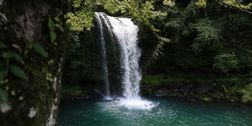 Kailasakona Falls is one of the best waterfalls in Andhra Pradesh for both pilgrims.