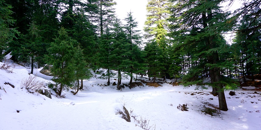 Traversing Kalatop Wildlife Sanctuary is the deal thing to do in Dalhousie in October for animal lovers