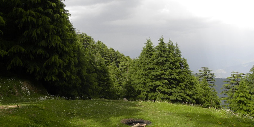 This wildlife sanctuary is a haven for all the animal lovers because of its rich biodiversity