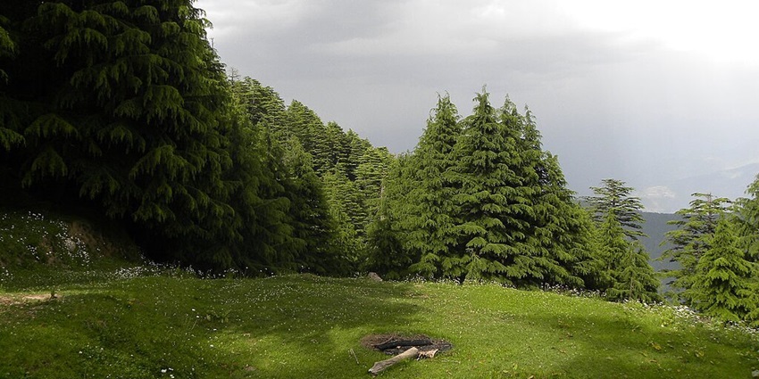 This trek is the best one for all wildlife enthusiasts wishing to spot animals while trekking