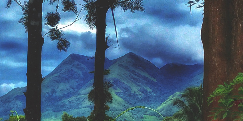 Beautiful Snapshot of the Kalpetta Town carpet hills—New Year Party in Wayand, Kerala