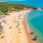 An aerial view of clear waters and green landscapes in mesmerising Kalpitiya Beach.