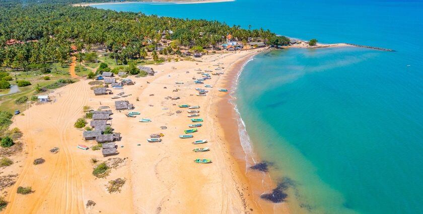 An aerial view of clear waters and green landscapes in mesmerising Kalpitiya Beach.