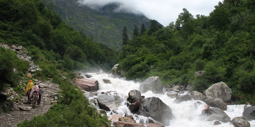 Sparkling stream beating through the rocks amidst lush forests with a trekking trail at its shore