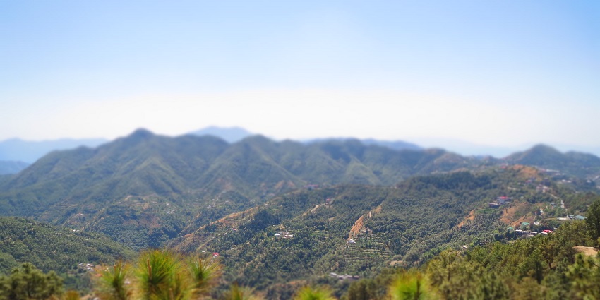 Kandaghat valley is one of the most picturesque attractions in this beautiful town.