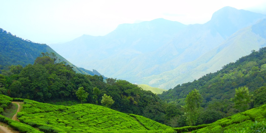 Kannan Devan Hill is one of the popular places for trekking in Kerala among tourists.