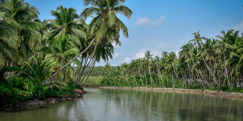 Backwaters in Kannur, one of the popular places to visit in Kerala in July