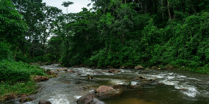 A mesmerising view of the gushing Kohora River in the Karbi Anglong district in Assam.