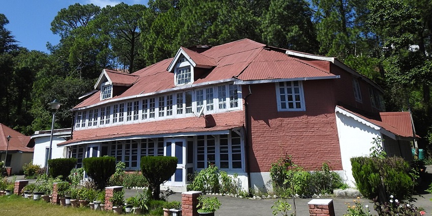 One of the places to visit in Himachal in November is Narkanda, a quaint colonial hill town with pine forests.