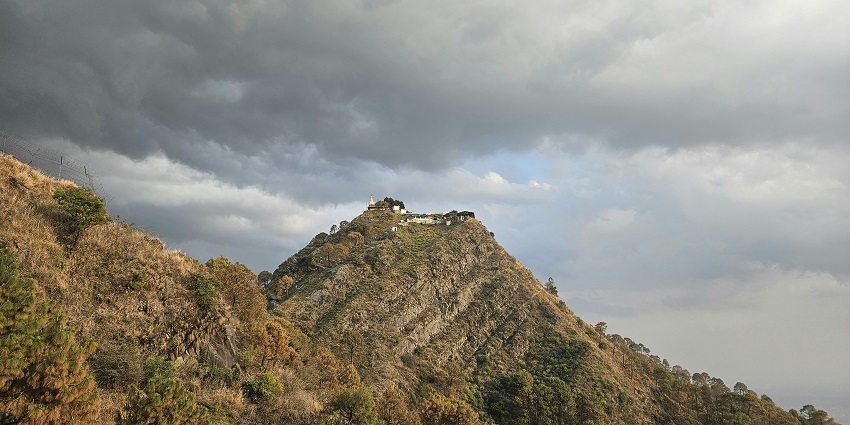 A scenic view of the majestic mountain covered with trees and shrubs in Kasauli.