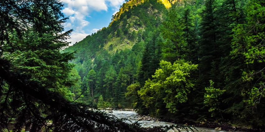A picture of serene mountains in Kasol offering a picturesque view of lush green landscapes