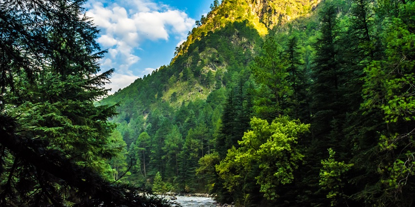 A view of the lush green village of Kasol with tall mountain peaks visible in the background