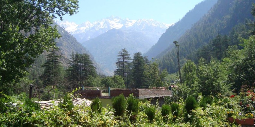A picture of a mountain with alpine trees and snow-covered mountains in the background
