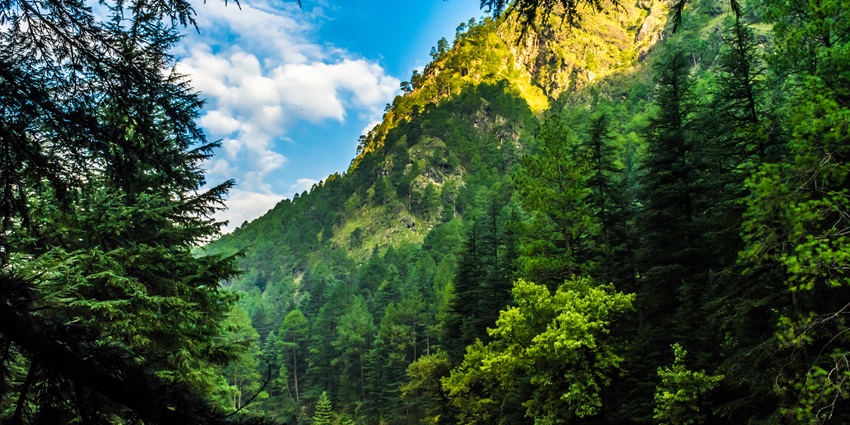 A picture showing nature views in Kasol village of Himachal with a river in front