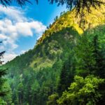 Beautiful snapshot of the lush green Himalayan with a snowy mountain in the background