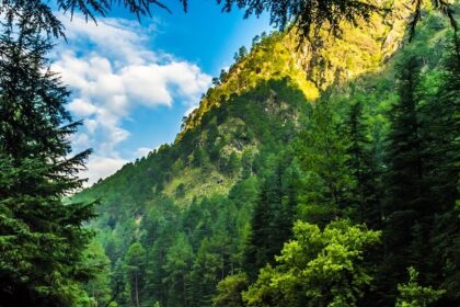 Beautiful snapshot of the lush green Himalayan with a snowy mountain in the background