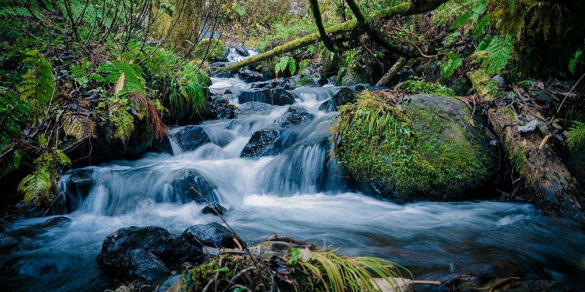 Katiki Falls, located near Borra Caves in the Visakhapatnam district, is a must-visit.