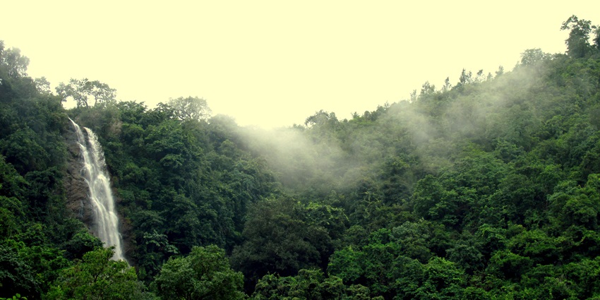 Flowing water of Katiki Waterfall, one of the top things to do in Araku Valley.