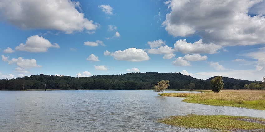 A lake of Kaudulla Park, one of the best spots to visit near Sigiriya Rock Fortress.