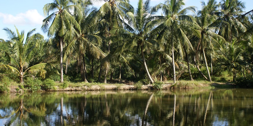 Kayaking in Pulau Ubin is one of the best things to do in Singapore for couples