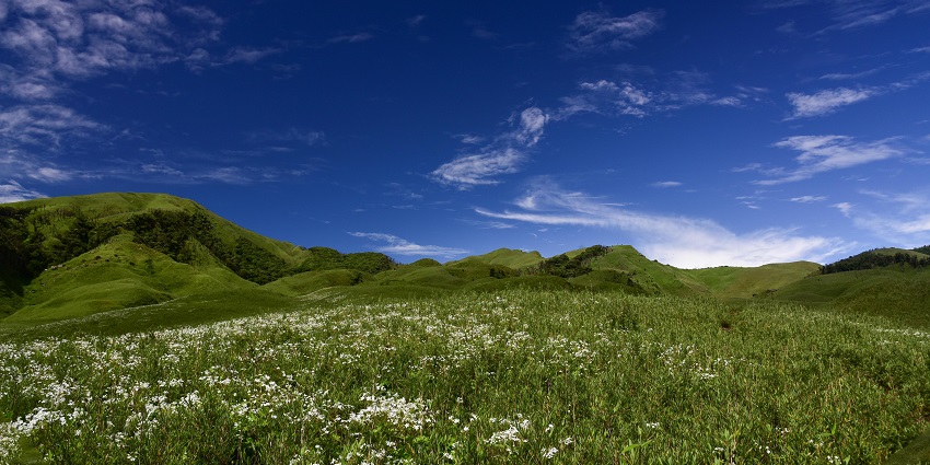 Dzokou valley in October offers your dreamy autumn escapade with the crimson meadows