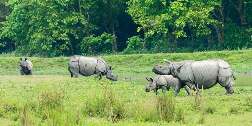 This destination is one of the most popular for travellers to witness the rich biodiversity