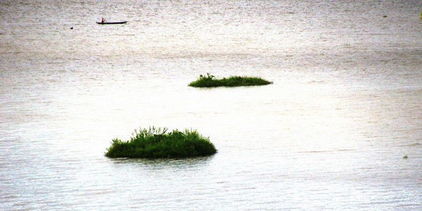Keibul Lamjao National Park is India’s only floating national park on the Loktak Lake.