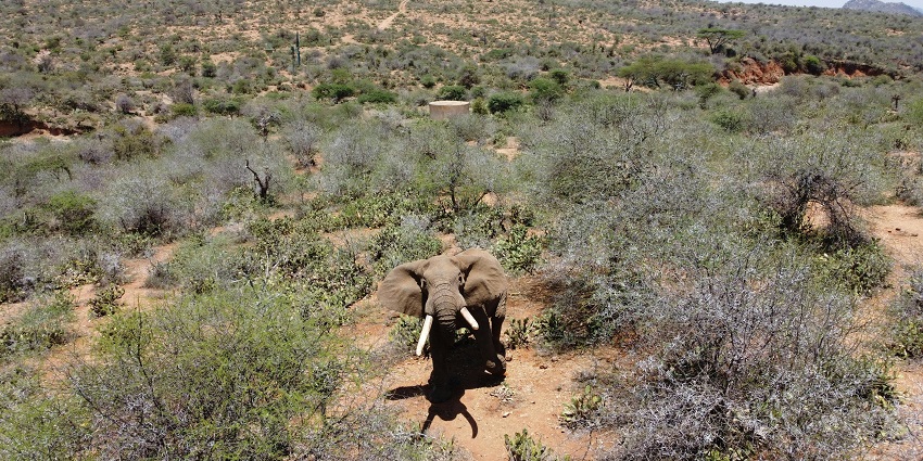 Enjoy marvellous views of Kenya, one of the best places to visit in summer in the world.