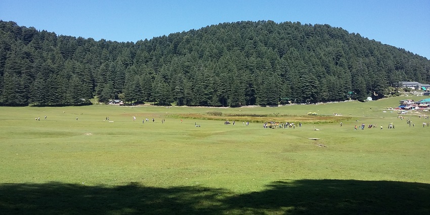 A picture of a lush green valley in Himachal Pradesh with alpine trees in the background