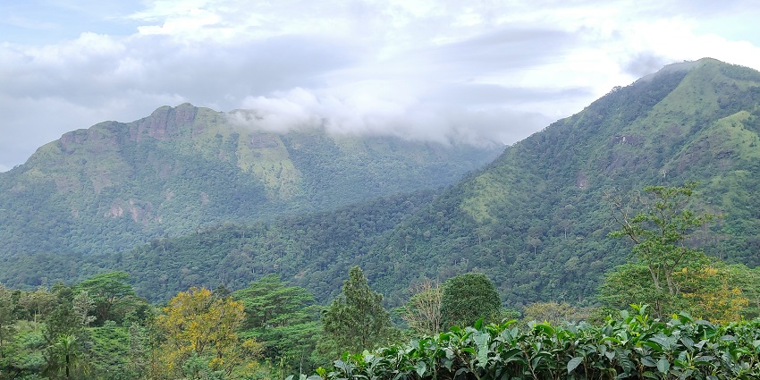 Khajuripada is one of the most tranquil and serene hill stations near Odisha for all.