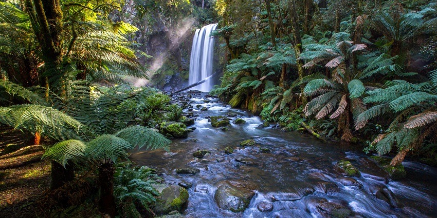 A view of glistening waters falling and joining the tranquil river surrounded by greenery.