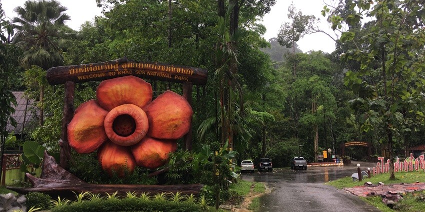 A scenic view of the entrance gate of Khao Sok National Park surrounded by lush greenery
