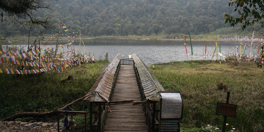 Scenic view of the bridge overlooking the serene lake and the lush green forests beyond
