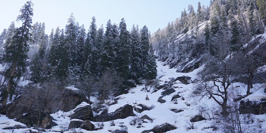 Fresh snow fall at Kheer Ganga, one of the top places to visit in Kasol on your trip.