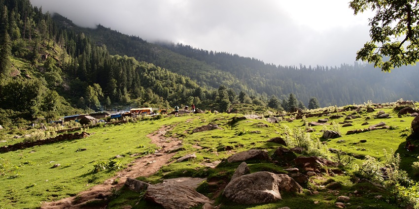 Kheerganga trek offers you a thrilling experience while navigating through dense forests.