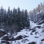 Hills of Khirganga National park covered with pine trees and blankets of snow