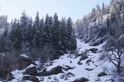 Hills of Khirganga National park covered with pine trees and blankets of snow