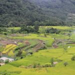 Scenic view of Khonoma village and green valleys - places to visit near Khonoma Fort.