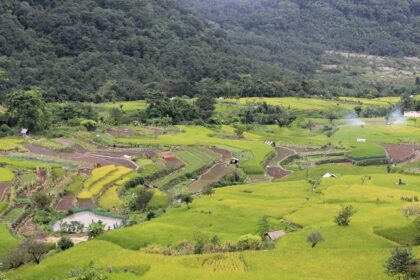 Scenic view of Khonoma village and green valleys - places to visit near Khonoma Fort.