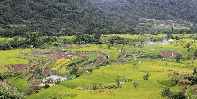 Scenic view of Khonoma village and green valleys - places to visit near Khonoma Fort.