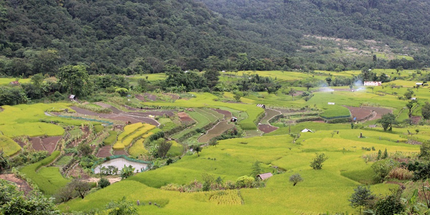 A view of Khonoma Village, one of the top places to visit near Dzukou Valley in April.