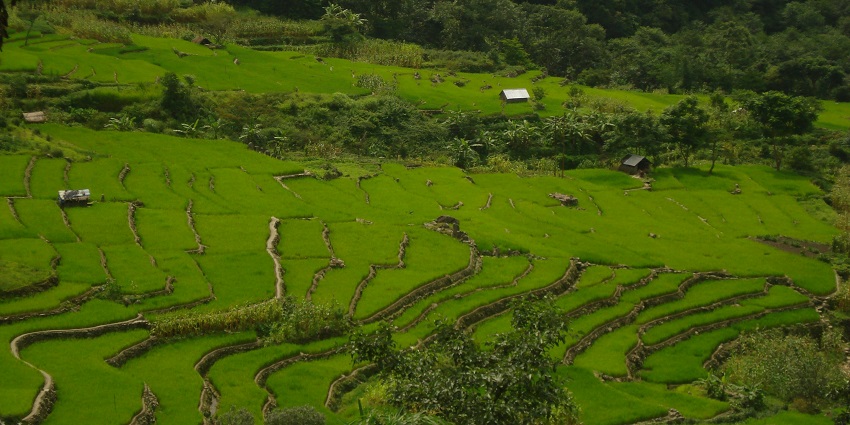 Visiting Khonoma Village is one of the most memorable things to do in Nagaland for all.